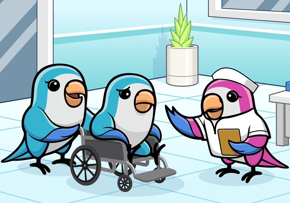 Birb Charity